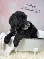 processed/d21ac227-b1aa-44d5-9a16-6ec565855b4d/listing/8cee4ab1-d3ac-4437-9eed-9c070be3168b/713a921c-9ab2-411c-aa67-2ee4afe15d93