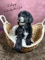 processed/d21ac227-b1aa-44d5-9a16-6ec565855b4d/listing/8cee4ab1-d3ac-4437-9eed-9c070be3168b/872a186c-e138-4c32-8627-ab19d4407b50