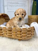 processed/d21ac227-b1aa-44d5-9a16-6ec565855b4d/listing/d9e6f1d1-4e64-4a84-8278-5446eadc3b6d/0b68f7d8-248b-488d-9c45-9e03274299ea