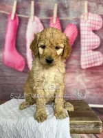 processed/d21ac227-b1aa-44d5-9a16-6ec565855b4d/listing/d9e6f1d1-4e64-4a84-8278-5446eadc3b6d/235a44c6-8645-4ef1-a4e6-1fb7f3a73cba