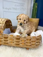 processed/d21ac227-b1aa-44d5-9a16-6ec565855b4d/listing/d9e6f1d1-4e64-4a84-8278-5446eadc3b6d/4047092b-e471-420f-b426-e6418346e464