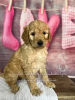 processed/d21ac227-b1aa-44d5-9a16-6ec565855b4d/listing/d9e6f1d1-4e64-4a84-8278-5446eadc3b6d/496e0e81-205b-47ea-b1b3-55ab0d617719