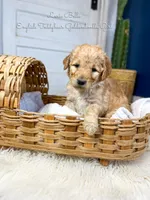 processed/d21ac227-b1aa-44d5-9a16-6ec565855b4d/listing/d9e6f1d1-4e64-4a84-8278-5446eadc3b6d/cbd0022c-98df-4658-8b6e-e8139e5815a6