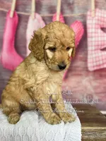 processed/d21ac227-b1aa-44d5-9a16-6ec565855b4d/listing/d9e6f1d1-4e64-4a84-8278-5446eadc3b6d/daead29e-ab60-4939-864c-9011a9b99410