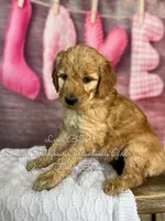 processed/d21ac227-b1aa-44d5-9a16-6ec565855b4d/listing/d9e6f1d1-4e64-4a84-8278-5446eadc3b6d/ee2aa515-4424-4b5a-8ffd-d07ab15c8411