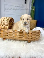 processed/d21ac227-b1aa-44d5-9a16-6ec565855b4d/listing/e76b7e1d-73ee-465b-87fc-bd935fae4f71/03dac783-0d24-4b40-b194-f0cc1332f987