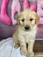 processed/d21ac227-b1aa-44d5-9a16-6ec565855b4d/listing/e76b7e1d-73ee-465b-87fc-bd935fae4f71/182380bd-da4a-42fd-b694-193700b285a3