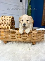 processed/d21ac227-b1aa-44d5-9a16-6ec565855b4d/listing/e76b7e1d-73ee-465b-87fc-bd935fae4f71/21d5dde7-bb83-476c-b311-1d8fa2898456