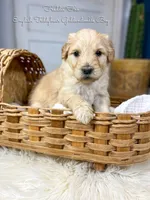 processed/d21ac227-b1aa-44d5-9a16-6ec565855b4d/listing/e76b7e1d-73ee-465b-87fc-bd935fae4f71/2a70d1dc-ff2f-451d-aa13-6683beacbfac