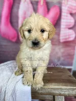 processed/d21ac227-b1aa-44d5-9a16-6ec565855b4d/listing/e76b7e1d-73ee-465b-87fc-bd935fae4f71/48197f43-ab48-41fd-8323-9cc60346bb7c