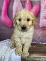 processed/d21ac227-b1aa-44d5-9a16-6ec565855b4d/listing/e76b7e1d-73ee-465b-87fc-bd935fae4f71/6033b682-aeb7-4760-a17d-74246e9c3946