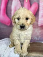 processed/d21ac227-b1aa-44d5-9a16-6ec565855b4d/listing/e76b7e1d-73ee-465b-87fc-bd935fae4f71/8e50822e-0fc0-4f21-b897-609f5756b2be