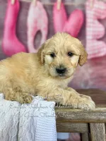 processed/d21ac227-b1aa-44d5-9a16-6ec565855b4d/listing/e76b7e1d-73ee-465b-87fc-bd935fae4f71/e28a7c32-e570-41ca-9a15-ece0f59e54ce