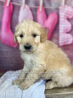 processed/d21ac227-b1aa-44d5-9a16-6ec565855b4d/listing/e76b7e1d-73ee-465b-87fc-bd935fae4f71/ec393400-c031-4a68-b1a2-194945398351