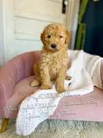 processed/d21ac227-b1aa-44d5-9a16-6ec565855b4d/listing/e97bf870-70ac-46fe-9978-d942f691b352/3e35778e-7885-4bac-b4dd-cf21401b6a3d