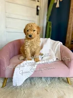 processed/d21ac227-b1aa-44d5-9a16-6ec565855b4d/listing/e97bf870-70ac-46fe-9978-d942f691b352/3f5aa318-e734-4186-b65a-7791e9cdd333