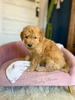 processed/d21ac227-b1aa-44d5-9a16-6ec565855b4d/listing/e97bf870-70ac-46fe-9978-d942f691b352/7aa9c352-b3b1-4e78-a2bc-7d37469aa325