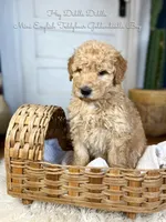 processed/d21ac227-b1aa-44d5-9a16-6ec565855b4d/listing/e97bf870-70ac-46fe-9978-d942f691b352/7ef9026c-93b0-4e4b-9122-e1bd37018068