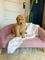 processed/d21ac227-b1aa-44d5-9a16-6ec565855b4d/listing/e97bf870-70ac-46fe-9978-d942f691b352/d4c250b1-d867-47d9-ba0c-1fdd4de5e9cf