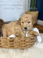 processed/d21ac227-b1aa-44d5-9a16-6ec565855b4d/listing/e97bf870-70ac-46fe-9978-d942f691b352/de075b07-6224-4d2a-9b0d-6f2cfacd81a8