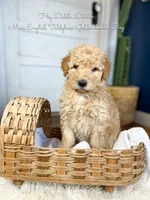 processed/d21ac227-b1aa-44d5-9a16-6ec565855b4d/listing/e97bf870-70ac-46fe-9978-d942f691b352/f16f9a8d-cead-4721-8d5c-a02e450b454a