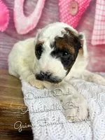 processed/d21ac227-b1aa-44d5-9a16-6ec565855b4d/listing/fc243d2a-c32e-4f5e-a2b3-9c28c46a3e40/7fd0dbab-f1ac-4798-829a-e7741f7e8a90