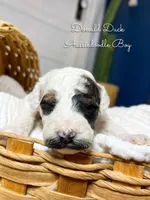 processed/d21ac227-b1aa-44d5-9a16-6ec565855b4d/listing/fc243d2a-c32e-4f5e-a2b3-9c28c46a3e40/819a442e-53d5-4473-b80e-d824e4618c71