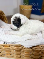 processed/d21ac227-b1aa-44d5-9a16-6ec565855b4d/listing/fc243d2a-c32e-4f5e-a2b3-9c28c46a3e40/a14e365b-f001-40be-8e54-f77c0036d4cd