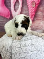 processed/d21ac227-b1aa-44d5-9a16-6ec565855b4d/listing/fc243d2a-c32e-4f5e-a2b3-9c28c46a3e40/a8f5dc72-0afd-473b-b1f7-8998f4b39679