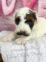 processed/d21ac227-b1aa-44d5-9a16-6ec565855b4d/listing/fc243d2a-c32e-4f5e-a2b3-9c28c46a3e40/b95d6831-34d4-4a69-a1cc-1536fe9ac326