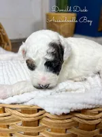 processed/d21ac227-b1aa-44d5-9a16-6ec565855b4d/listing/fc243d2a-c32e-4f5e-a2b3-9c28c46a3e40/bbaba9cf-119d-4f2b-9406-bf7f4825a180