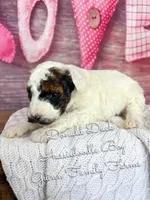 processed/d21ac227-b1aa-44d5-9a16-6ec565855b4d/listing/fc243d2a-c32e-4f5e-a2b3-9c28c46a3e40/f08a1004-99e4-4681-9b11-b424b0ebc664