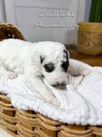 processed/d21ac227-b1aa-44d5-9a16-6ec565855b4d/listing/fc243d2a-c32e-4f5e-a2b3-9c28c46a3e40/fa6fe4da-d6b6-41fd-8c20-fec8c051494a