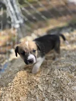 processed/d22655dd-c16c-4a1b-b56e-2e180bed31c0/listing/e335c726-152b-46aa-89f9-4b5a94c058d5/a74376ff-705b-4b2a-bfe1-d92ecc3a1d6c