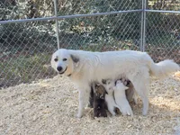 processed/d22655dd-c16c-4a1b-b56e-2e180bed31c0/listing/e335c726-152b-46aa-89f9-4b5a94c058d5/c4294e24-ac73-4003-8383-f9b9fb0851d0