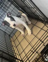 processed/d22819cc-661c-43c8-99c8-5ad6348aa417/listing/01de90f7-4e3d-4a47-871e-ea5acf42c428/4c7030e5-807d-42eb-8c0c-d39ebfa4ea8d