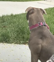 processed/d22819cc-661c-43c8-99c8-5ad6348aa417/listing/01de90f7-4e3d-4a47-871e-ea5acf42c428/5434c9e7-070d-424e-8a8f-e93403cca9e7