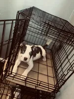 processed/d22819cc-661c-43c8-99c8-5ad6348aa417/listing/01de90f7-4e3d-4a47-871e-ea5acf42c428/77658cf9-4e46-4fd9-b1e2-048ee8fc4f4a