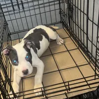 processed/d22819cc-661c-43c8-99c8-5ad6348aa417/listing/01de90f7-4e3d-4a47-871e-ea5acf42c428/78b3e736-29b6-435f-84f7-bec6dff94b46