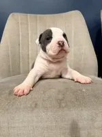 processed/d22819cc-661c-43c8-99c8-5ad6348aa417/listing/01de90f7-4e3d-4a47-871e-ea5acf42c428/7d92fb01-69f0-4fab-a20c-74a6f0b97c8e