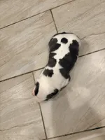 processed/d22819cc-661c-43c8-99c8-5ad6348aa417/listing/01de90f7-4e3d-4a47-871e-ea5acf42c428/f579a110-afc9-465b-8ebc-b001c8e65b40