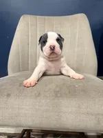 processed/d22819cc-661c-43c8-99c8-5ad6348aa417/listing/89cce2c7-a5b9-4dc2-a47b-642407b6d272/585dd699-dd18-4d54-8d98-198197168c02