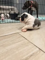 processed/d22819cc-661c-43c8-99c8-5ad6348aa417/listing/89cce2c7-a5b9-4dc2-a47b-642407b6d272/62a5ed21-2a99-44b6-be7a-bd8535a299ea