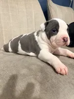 processed/d22819cc-661c-43c8-99c8-5ad6348aa417/listing/89cce2c7-a5b9-4dc2-a47b-642407b6d272/d437e371-1147-425d-bc1b-108b21b7ba09