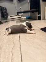 processed/d22819cc-661c-43c8-99c8-5ad6348aa417/listing/dc2e3182-4f1b-4a4b-b5d7-4b1fd010f7d1/214f9b85-0aee-4948-a9e0-b551bba0bf59