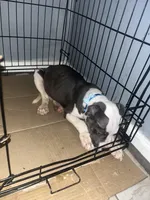 processed/d22819cc-661c-43c8-99c8-5ad6348aa417/listing/dc2e3182-4f1b-4a4b-b5d7-4b1fd010f7d1/4f28176d-c48a-4f0f-b0d3-e2831f43d119