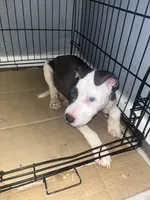 processed/d22819cc-661c-43c8-99c8-5ad6348aa417/listing/dc2e3182-4f1b-4a4b-b5d7-4b1fd010f7d1/81c2bfad-c3d1-42d7-bd72-c9bc0f8bef24