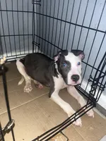 processed/d22819cc-661c-43c8-99c8-5ad6348aa417/listing/dc2e3182-4f1b-4a4b-b5d7-4b1fd010f7d1/b31f1547-5477-4b1e-9eb3-c2932d23f11d