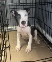 processed/d22819cc-661c-43c8-99c8-5ad6348aa417/listing/dc2e3182-4f1b-4a4b-b5d7-4b1fd010f7d1/c9c02c9d-4185-4407-abf3-68073a5b1b94