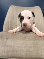 processed/d22819cc-661c-43c8-99c8-5ad6348aa417/listing/dc2e3182-4f1b-4a4b-b5d7-4b1fd010f7d1/cadd542f-0114-4841-9698-f610605d03a3